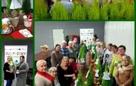 Warsztaty Florystyczne dla Senior&oacute;w