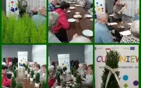 Warsztaty Florystyczne dla Senior&oacute;w