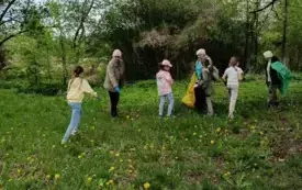 Sprzątanie ziemi (4)