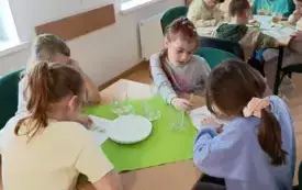 Sprzątanie ziemi (8)