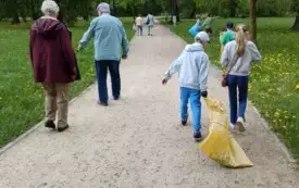 Sprzątanie ziemi (5)