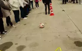 Olimpiada Senior&oacute;w w Sielinku (30)