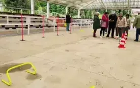 Olimpiada Senior&oacute;w w Sielinku (4)