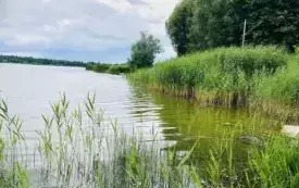 Spacer do Łazienek Pniewskich (4)