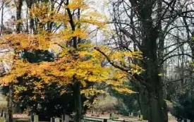 Rajd Niepodległości  (1)