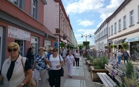 Wiklinowy Tomyśl (9)