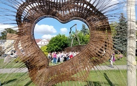 Wiklinowy Tomyśl (7)