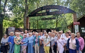 Wiklinowy Tomyśl (3)