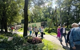 Wiklinowy Tomyśl (2)