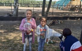 Uczestnicy pikniku w ramach projektu "W rodzinie siła"