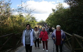 Seniorzy nad morzem (8)